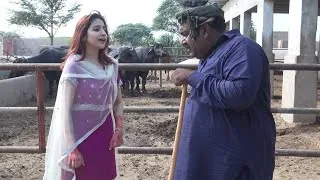 Thumbnail: Numberdar Farm Walo Ki Gaon Bich D | Rocket | Makhu | New Top Funny | Punjabi Comedy Video | Chal TV