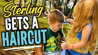 Thumbnail: Sterling gets a home hair cut 