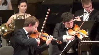 Thumbnail: Gustav Mahler - Symphony no. 1, 1st movement (arr. Iain Farrington); Kummer