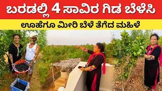 Thumbnail: ಬರಡು ಭೂಮಿಯಲ್ಲಿ 4 ಸಾವಿರ ಗಿಡ ಬೆಳೆಸಿ ಊಹೆಗೂ ಮೀರಿ | Natural Farming in Kannada | best farmer agri ideas