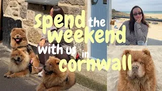 Thumbnail: spend the weekend with us 🐻🤍🌊 our family holiday to cornwall ✨ beach bars + wholesome days 