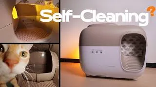 Thumbnail: PetSnowy SNOW+ Honest Review: Great for Most Cats, But…