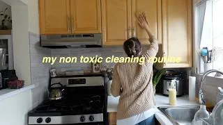Thumbnail: How I Clean My Home with Only Natural Products | My Thoughts on "Non-Toxic" Living