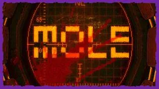 Thumbnail: Charborg Streams - MOLE