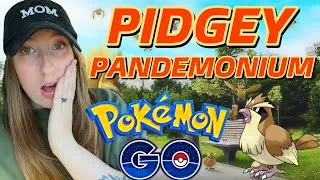 Thumbnail: Pidgey PANDEMONIUM vlog and MORE! #pokemongo