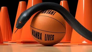 Thumbnail: Black Mamba Lives | Remembering My Hero: Kobe Jellybean Bryant (Mama, there goes that man!)
