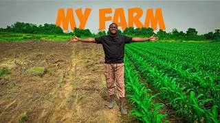 Thumbnail: Farm Update 03 - After 5 Years of Showing You Other Farms, Here’s MY FARM! 🇬🇭