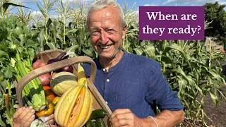 Thumbnail: How to Tell When Vegetables Are Ready to Harvest