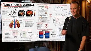 Thumbnail: "Cortisol Loading" is The Easiest Way To Get Rich Quick