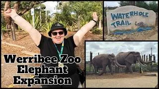 Thumbnail: Exploring the Elephant Expansion at Werribee Zoo