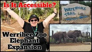 Thumbnail: Werribee Zoo Elephant Expansion | Accessible Adventures
