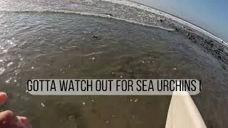 Thumbnail: Surfing in Topaga Beach POV- February 2026 Winter