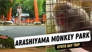 Thumbnail: Arashiyama Monkey Park | Best Kyoto Day Trip