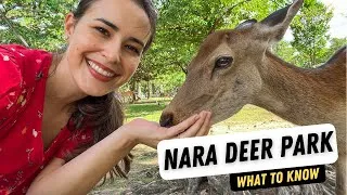 Thumbnail: Nara Deer Park Japan - What I Wish I Knew Before Going