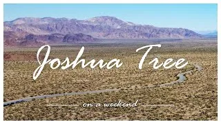 Thumbnail: Weekend Road Trip to Joshua Tree National Park on a Mini Copper  - Best Things to do - 4K