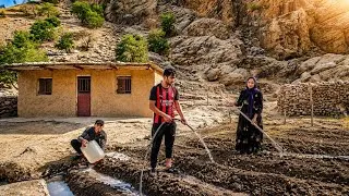 Thumbnail: 🌿 **From Dry Land to a Lush Garden! Growing Vegetables and Fruits in the Mountains** ⛰️🍅