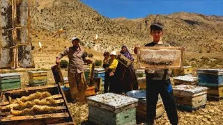 Thumbnail: 🐝😱 They Risked the Mountains for Wild Honey! | Nomadic Family’s Zagros Adventure 🏔️🍯