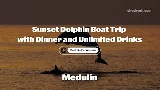 Thumbnail: Sunset Dolphin Watching & Dinner Cruise from Medulin | CheckYeti