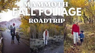 Thumbnail: Best Places to See Fall Leaves Near Mammoth!