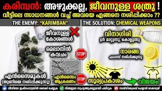 Thumbnail: കരിമ്പൻ: അഴുക്കല്ല, ജീവനുള്ള ശത്രു! വീട്ടിലെ സാധനങ്ങൾ വച്ച് അവയെ എങ്ങനെ നശിപ്പിക്കാം ??