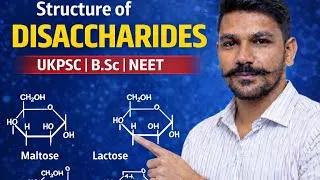 Thumbnail: Structure of Disaccharides | Maltose, Lactose & Sucrose Explained