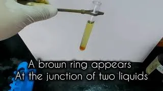 Thumbnail: That brown ring never lies!🧪 "One ring=Nitrate confirmed"| Brown Ring Test