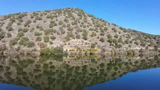 Thumbnail: Uniworld:  Douro River Reflections