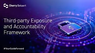 Thumbnail: Third-party Exposure and Accountability Framework
