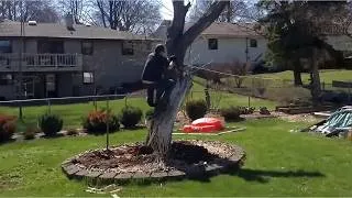 Thumbnail: Security Camera Fails Worldwide!