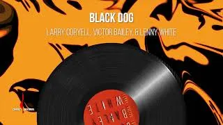Thumbnail: Larry Coryell | Victor Bailey | and Lenny White - Black Dog (Audio)