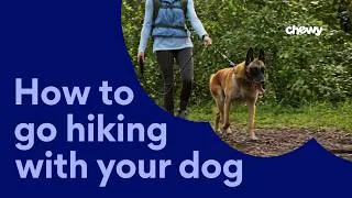 Thumbnail: How To Go Hiking With Your Dog | Chewtorials