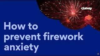 Thumbnail: How To Calm Dogs During Fireworks | Chewtorials