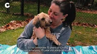Thumbnail: A Second Chance, On Chewy: Adoption Fees Covered for Senior Pets| Chewy
