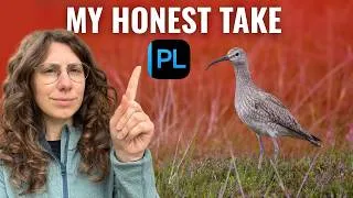 Thumbnail: Is DxO PhotoLab 10 Actually Worth It?