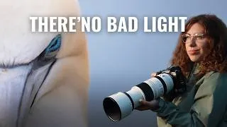 Thumbnail: How to Get GREAT Wildlife Photos in ANY LIGHT conditions