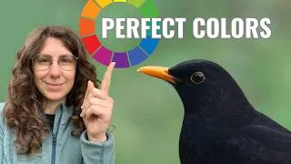 Thumbnail: This Single Tool Changed How I Edit Colors Forever