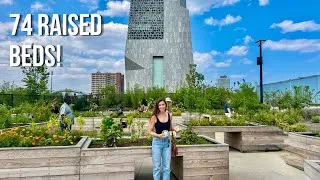 Thumbnail: Touring the Obama Center Garden + Learning to Pickle Vegetables! 🥒