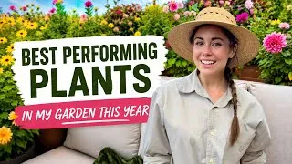 Thumbnail: The 10 Best Performing Plants in My Garden This Year! 🌸