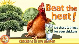 Thumbnail: 2 Vital Steps to Avoid Chicken Heat Stress (and why they work)