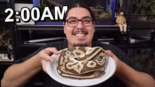 Thumbnail: FEEDING My Nocturnal Animals