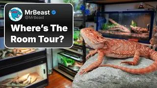 Thumbnail: Reptile Room Tour