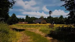 Thumbnail: Summer Farm Ambience | Nature Sounds in a Sunny Countryside | Birdsong, Breeze, Cicadas, Cattle