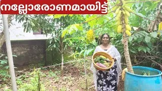 Thumbnail: പറമ്പിലെ വിളവെടുപ്പ്