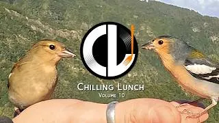 Thumbnail: Anniversary Chilling Lunch Mix VOL. 10 🎁 Our Background Music in the MIX