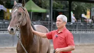 Thumbnail: Horseman bridges China and Kyrgyzstan through equestrian coaching