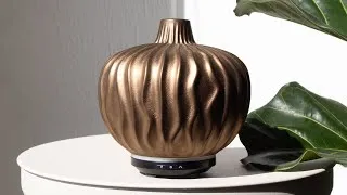 Thumbnail: NIEUW: Chi Clove Aroma Diffuser