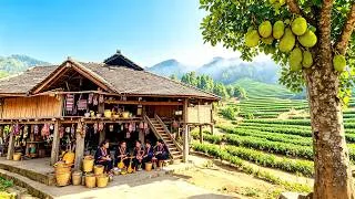 Thumbnail: 中国隐匿在山林间的拉祜族‘音乐村’，一个全村800人都会弹吉他的地方