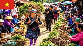 Thumbnail: SHOCKING! Vietnam’s Wildest Mountain Market Is FULL of Rare Medicinal Herbs