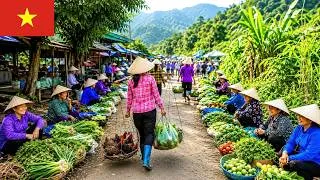Thumbnail: A Glimpse of Rural Vietnam 🇻🇳 | Inside a Local Market & Everyday Life