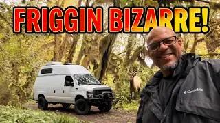 Thumbnail: This Was So Friggin Bizarre! Van Life Got Creepy!